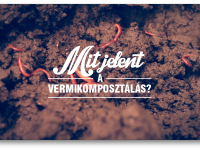 Röviden a vermikomposztálásról I.
