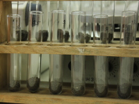 Multivariate Impact Assessment of Environmental Factors during Decomposing Sewage Sludge