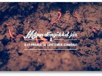 Röviden a vermikomposztálásról IV.