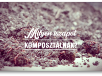 Röviden a vermikomposztálásról VIII.