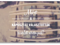 Röviden a vermikomposztálásról  XII.