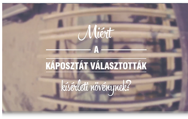 Röviden a vermikomposztálásról  XII.