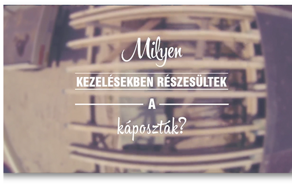 Röviden a vermikomposztálásról  XIII.
